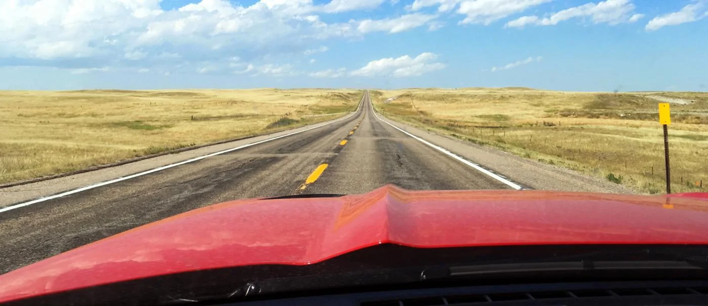 mustang background small.webp