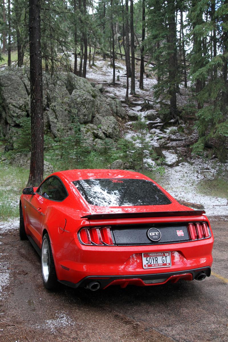 mustang  black hills small.jpg