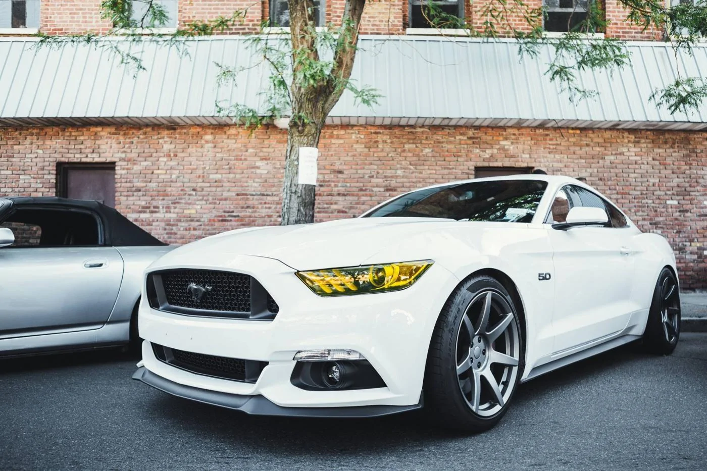 Mustang_3.webp
