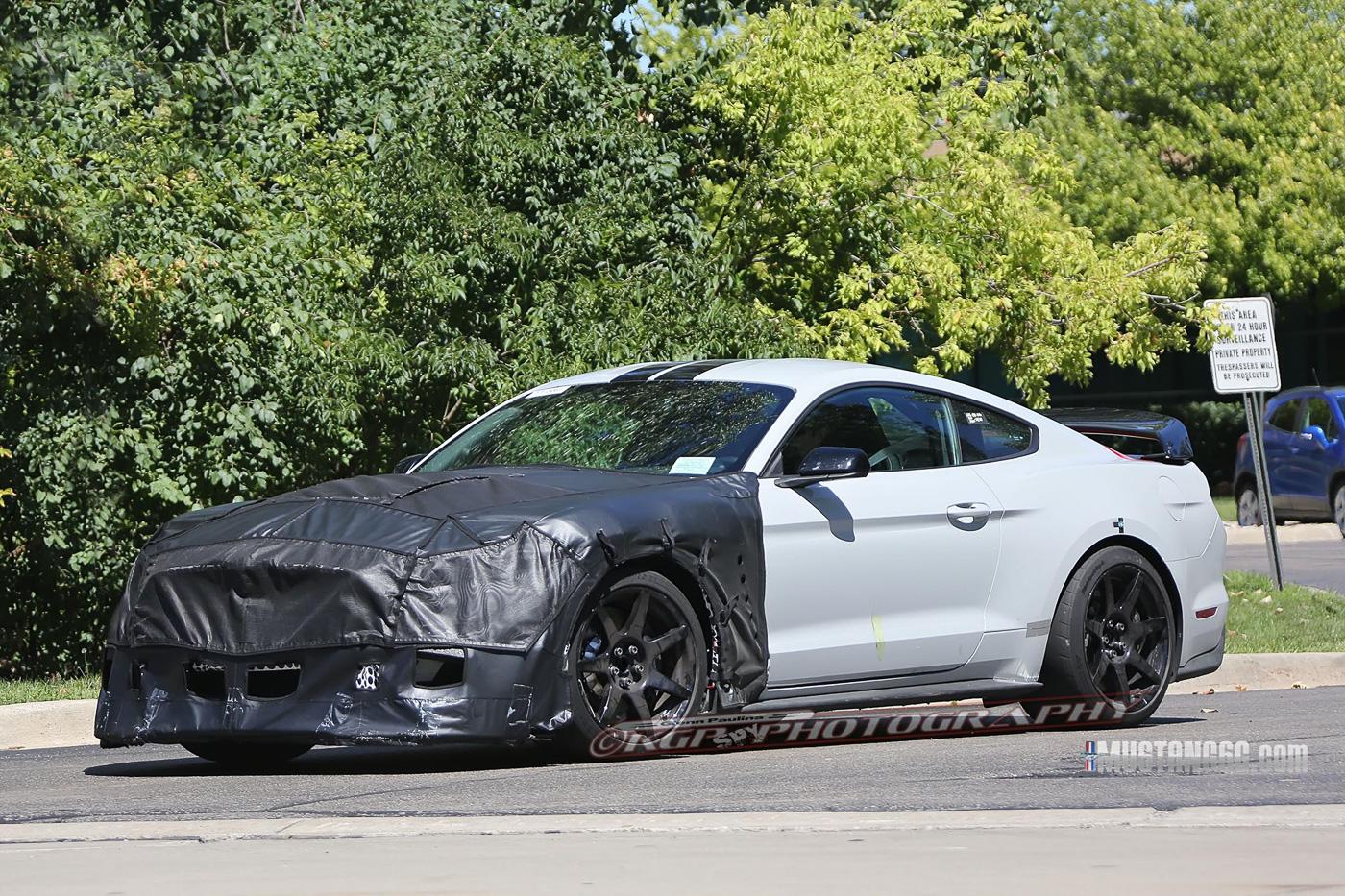 2018 GT500 Mustang Pics & Video-4.jpg