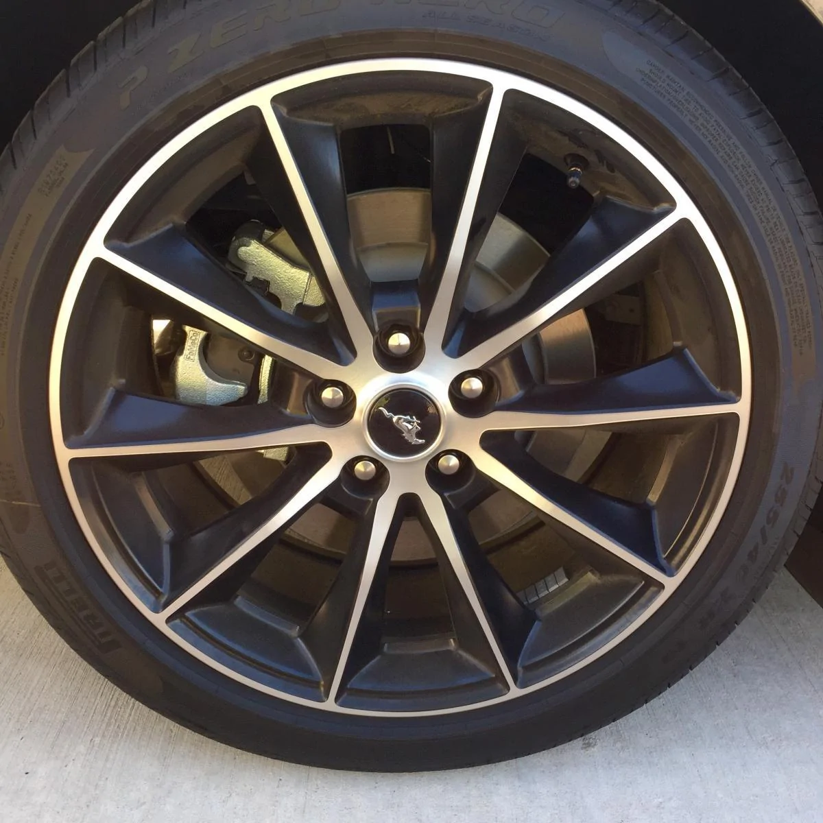 Wheel1.webp