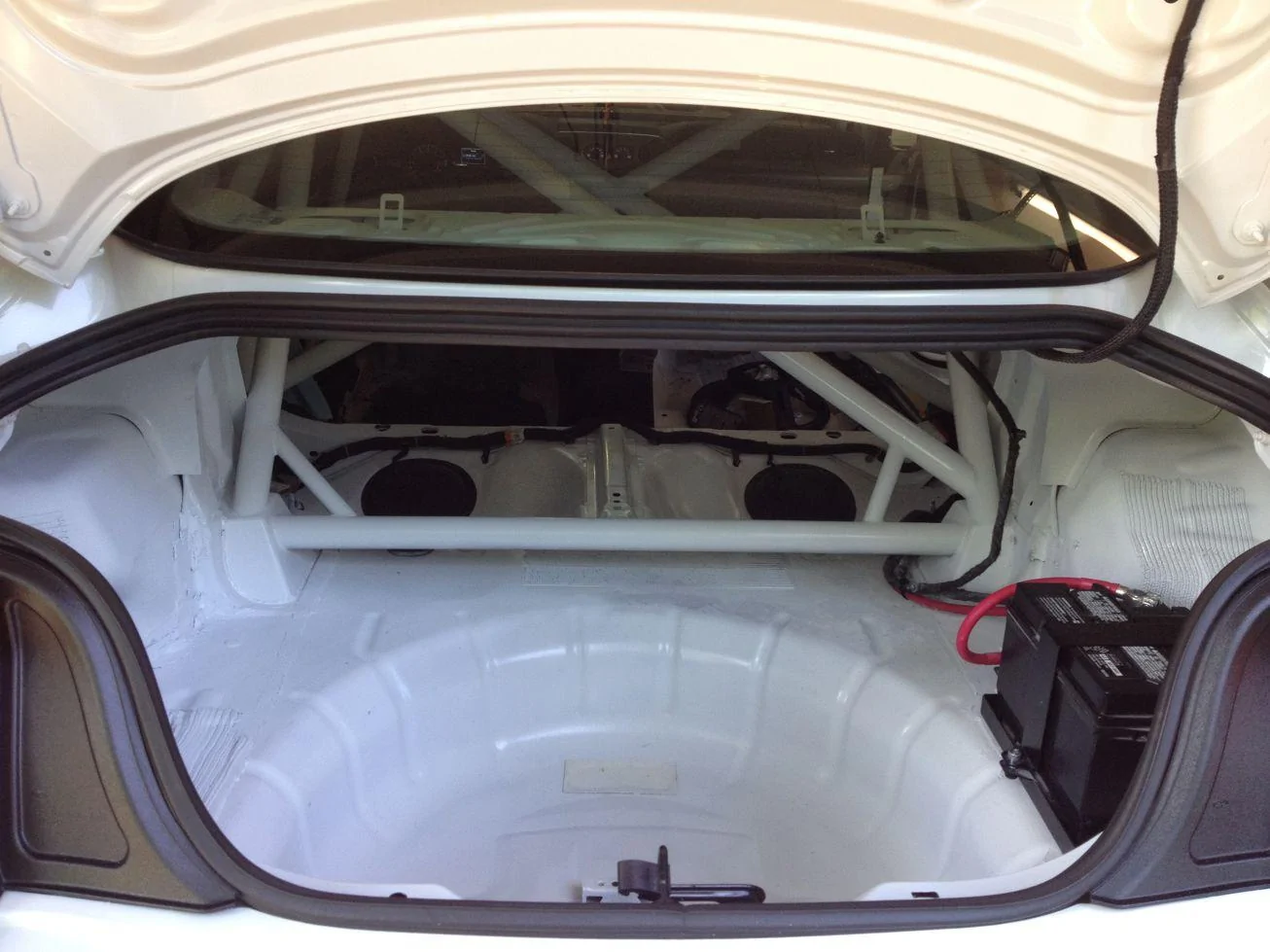 trunk 1.webp