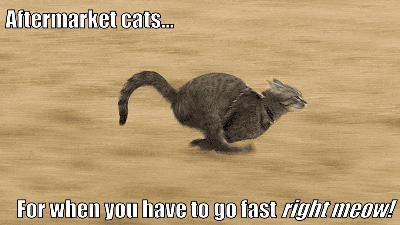 Aftermarket cats.webp