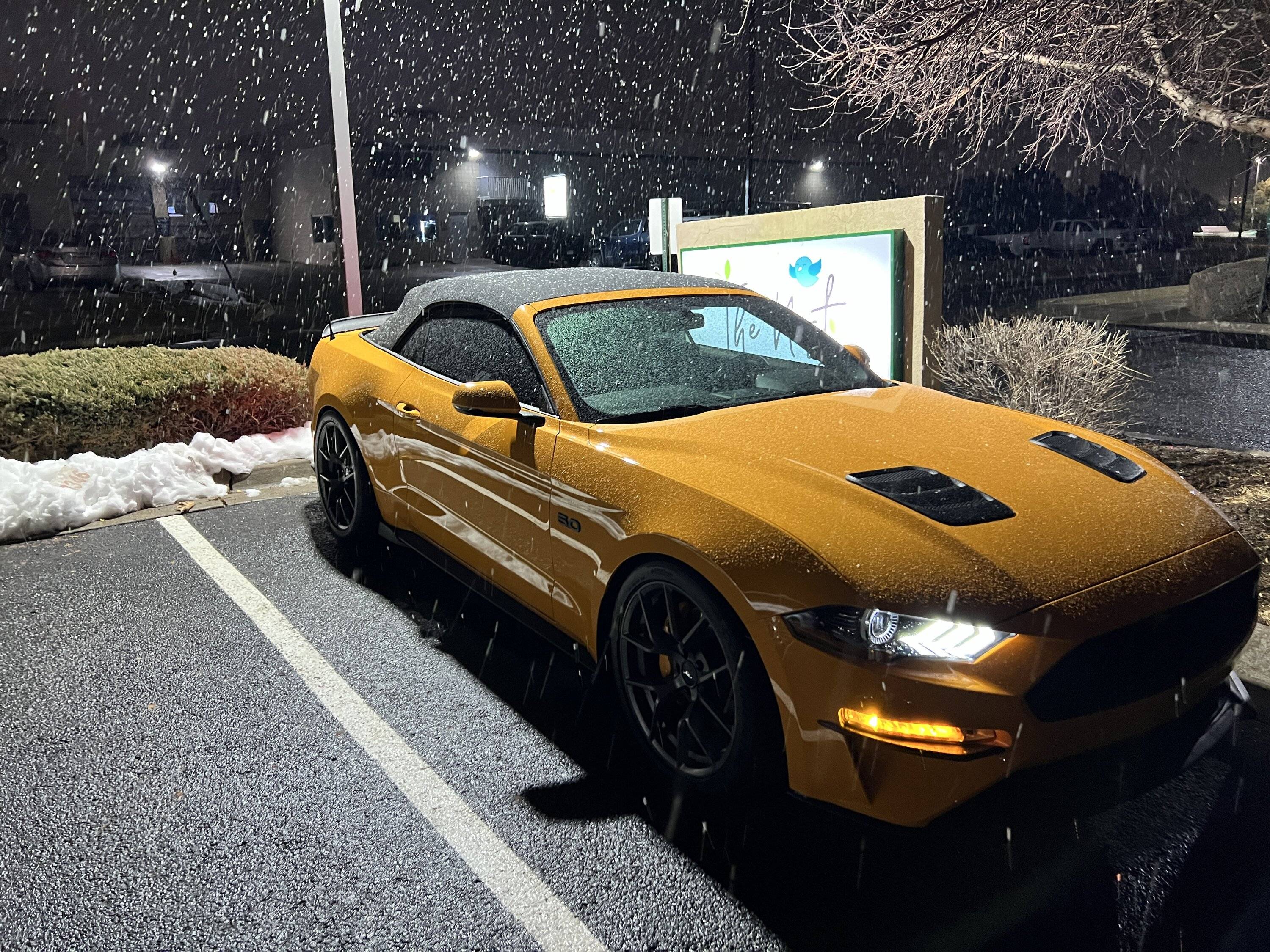 IMG_0686.jpeg