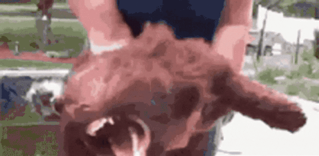 1707772566303.gif