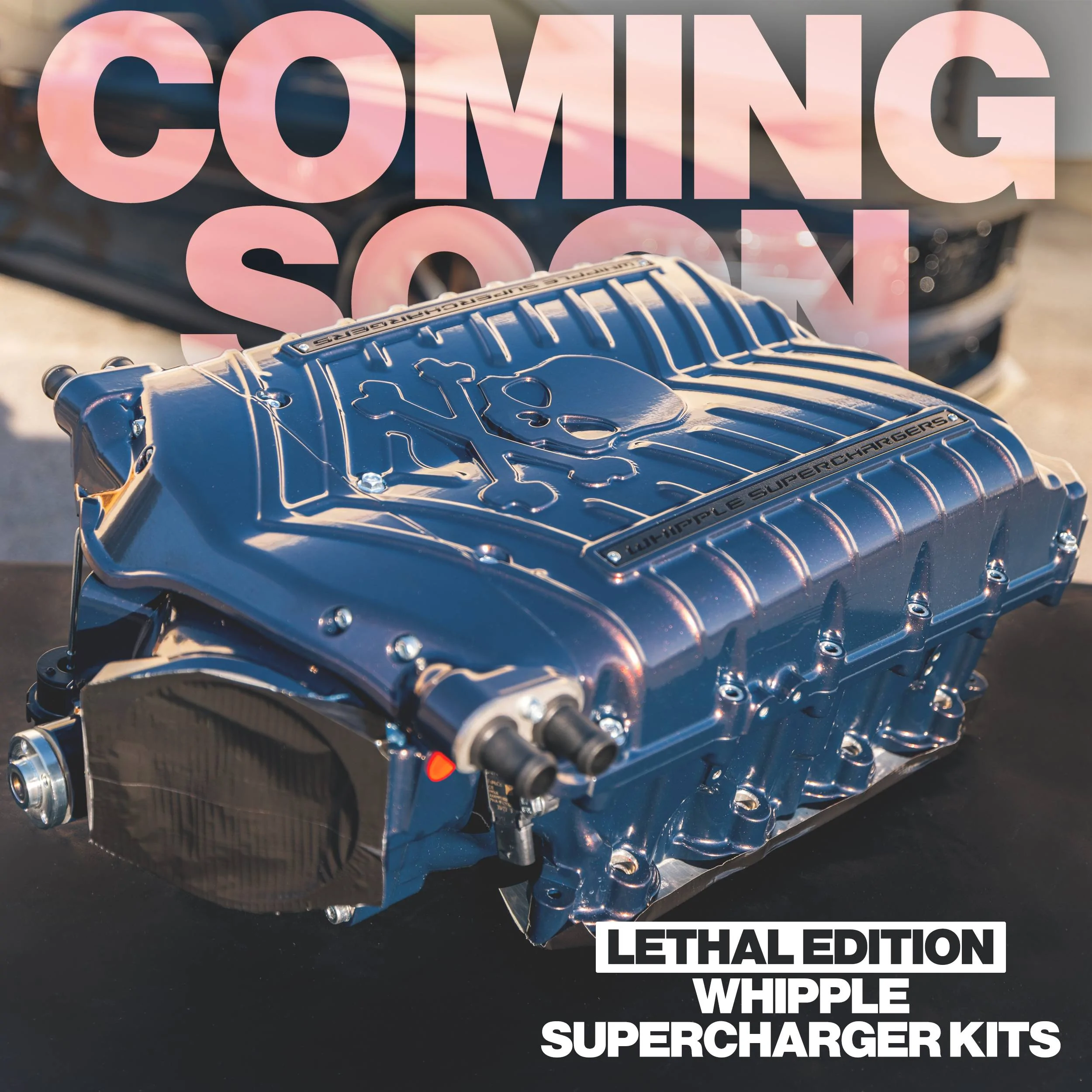 LethalEditionWhipple2.jpeg