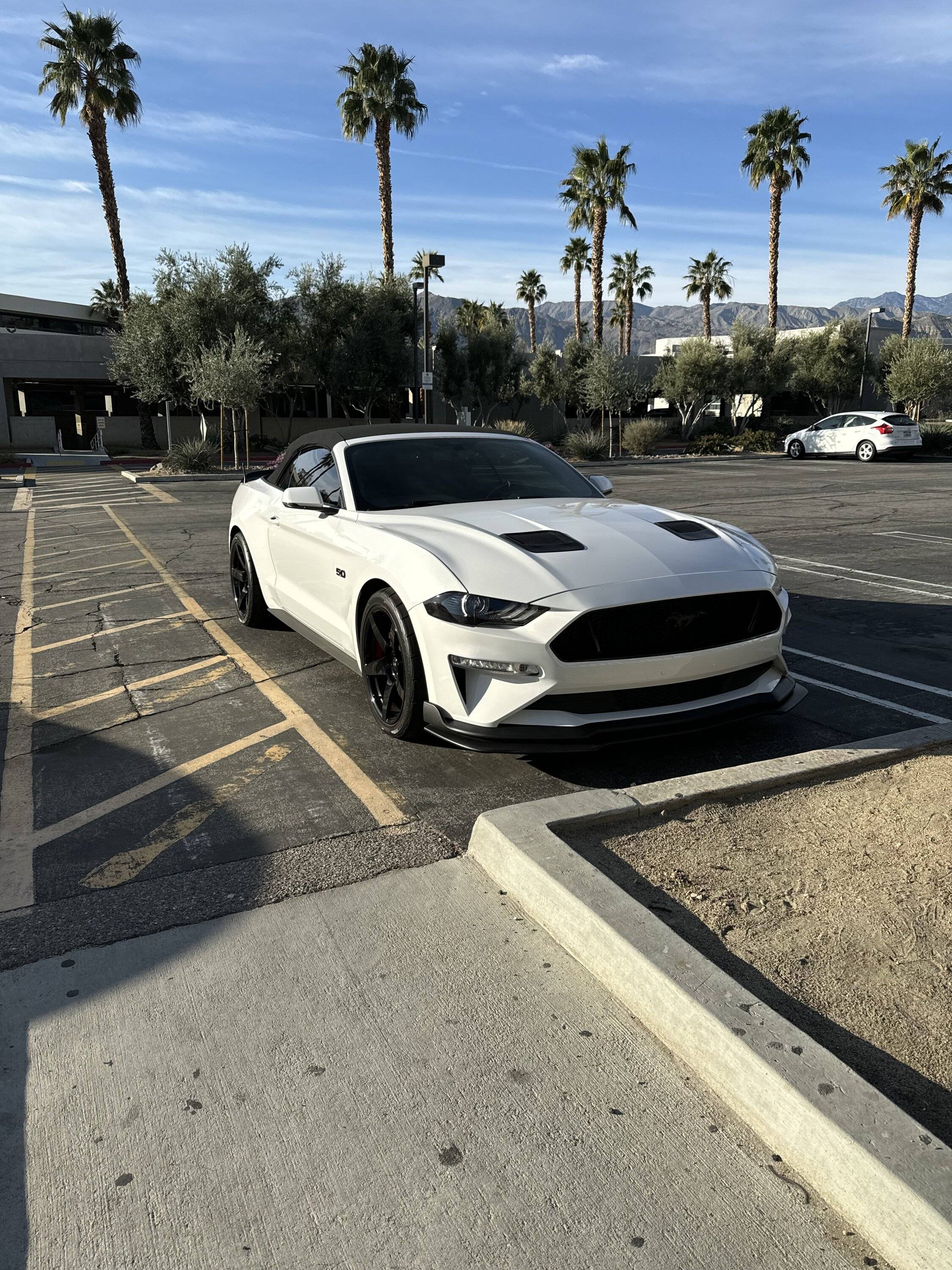 IMG_1004.jpeg