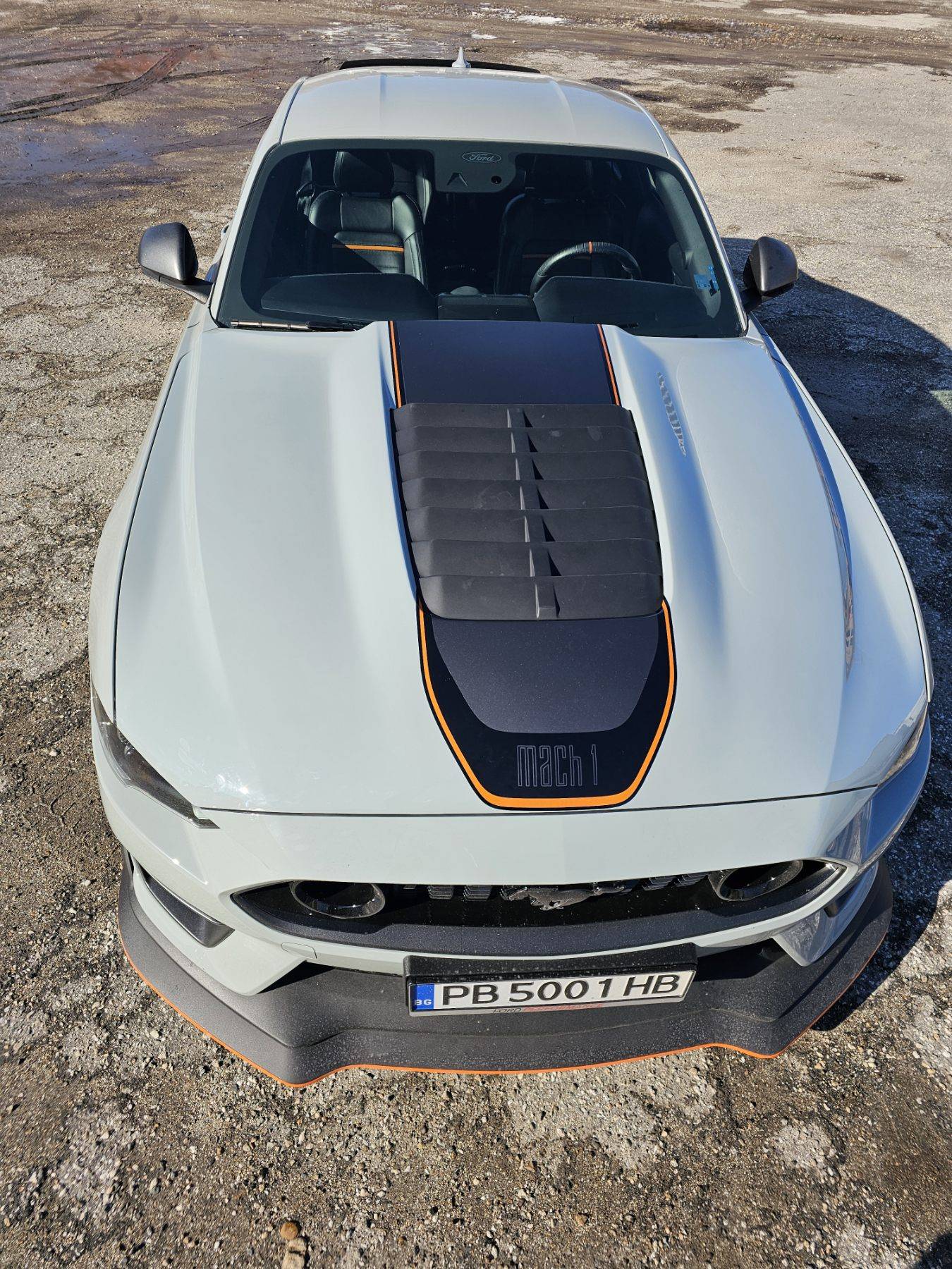 m1.jpg