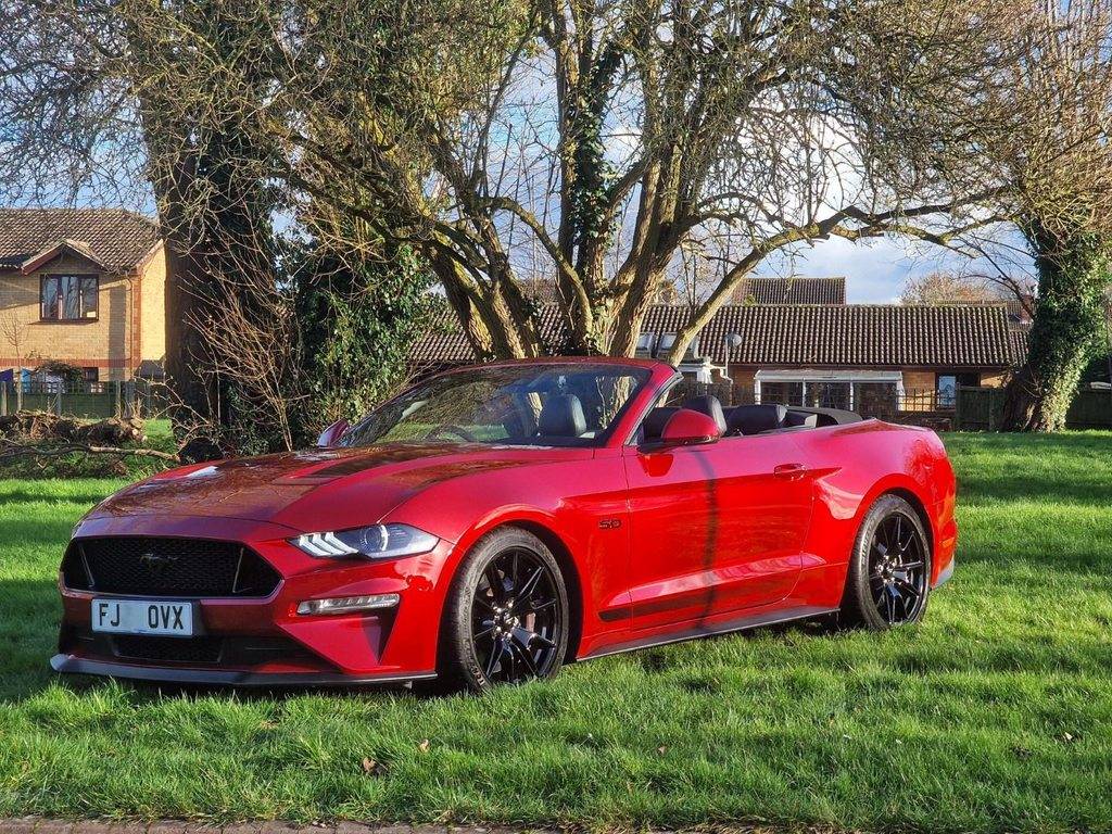Mustang001.jpg