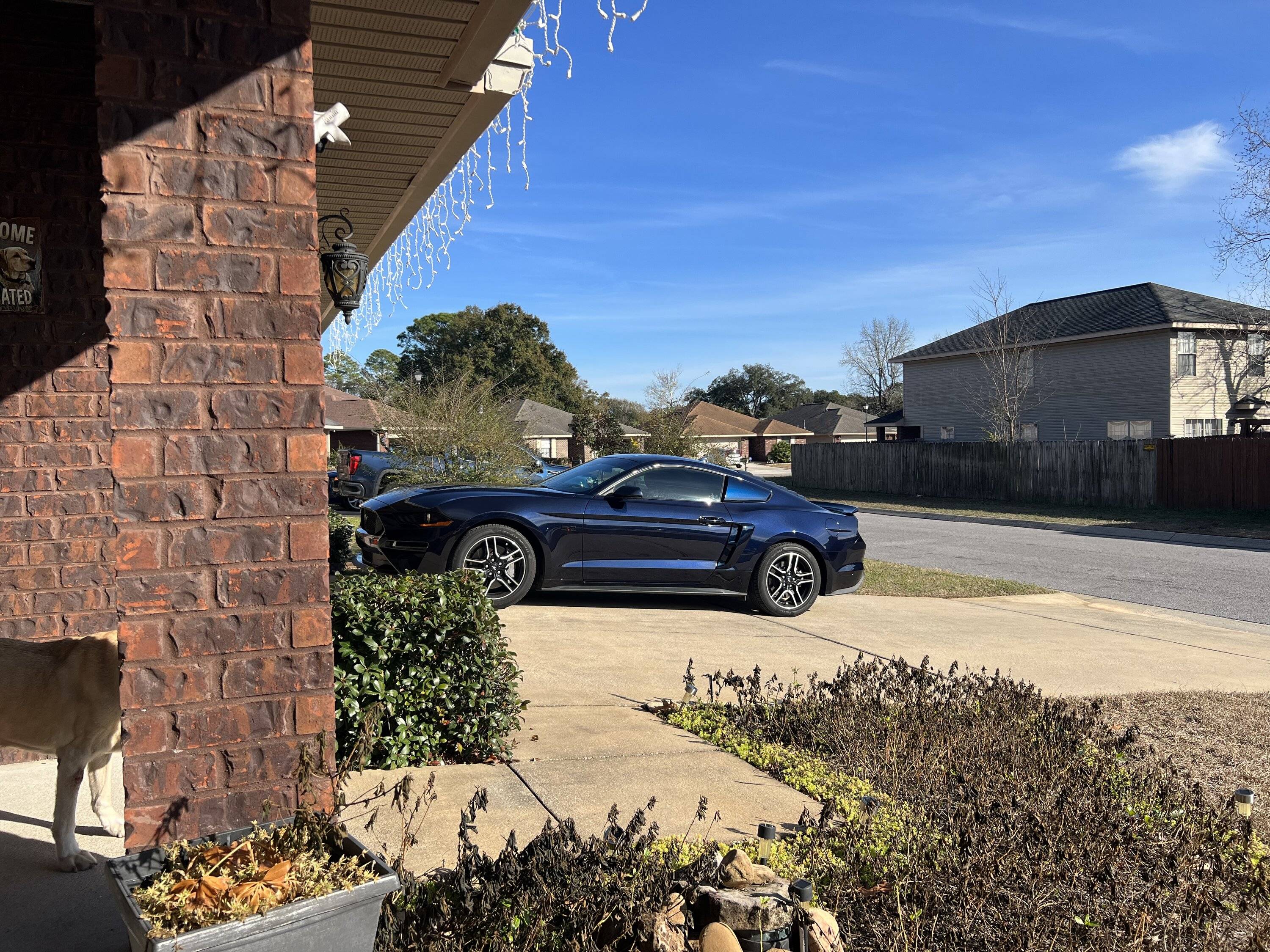 IMG_8895.jpeg