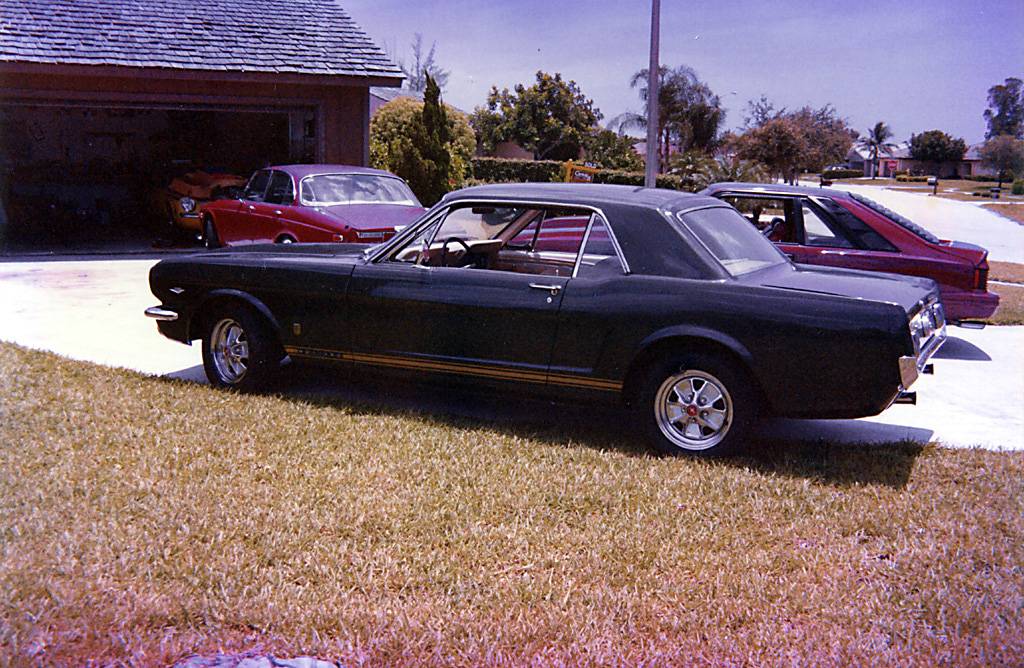 1966 Mustang GT-1.jpg
