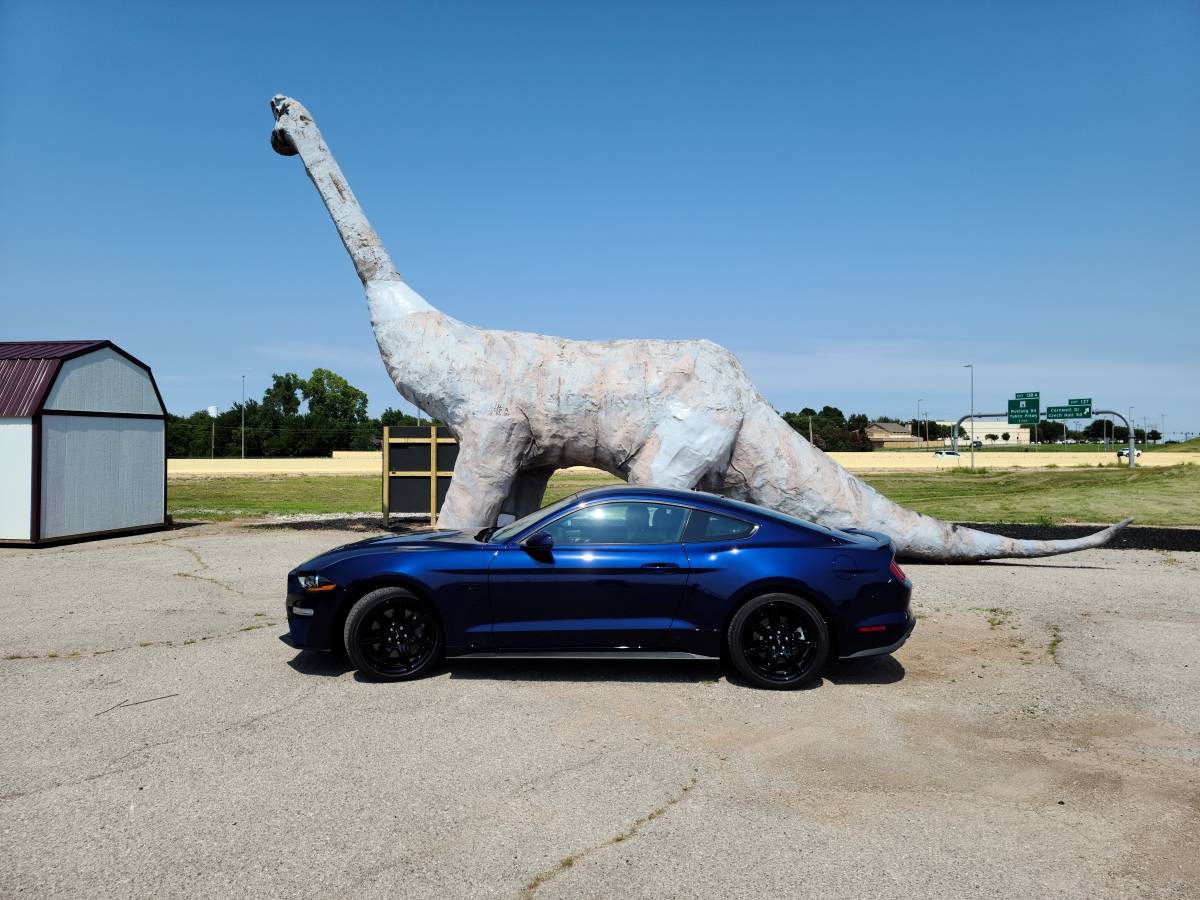 2019DinoMustang.jpg