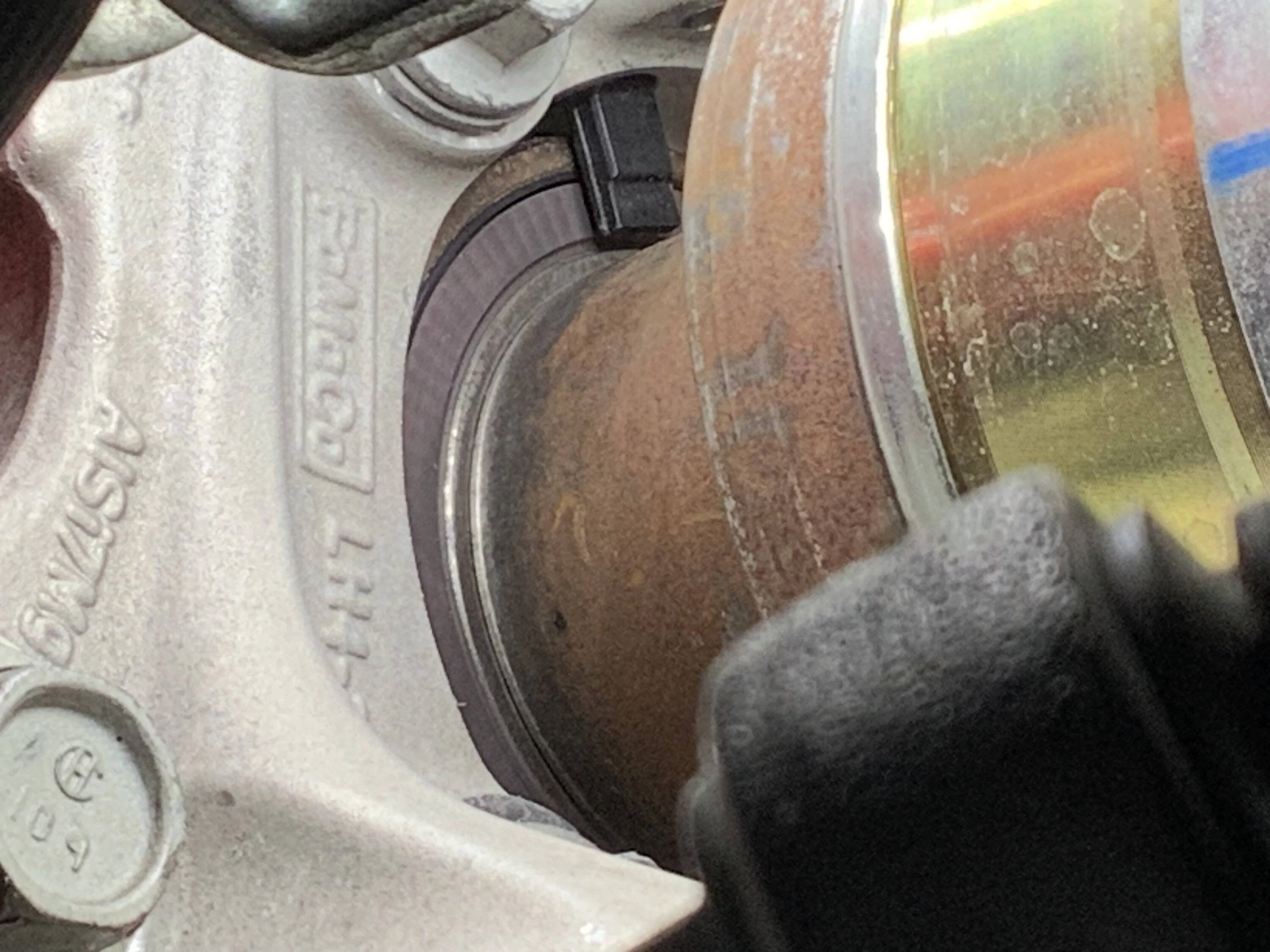 IMG_6320.jpeg