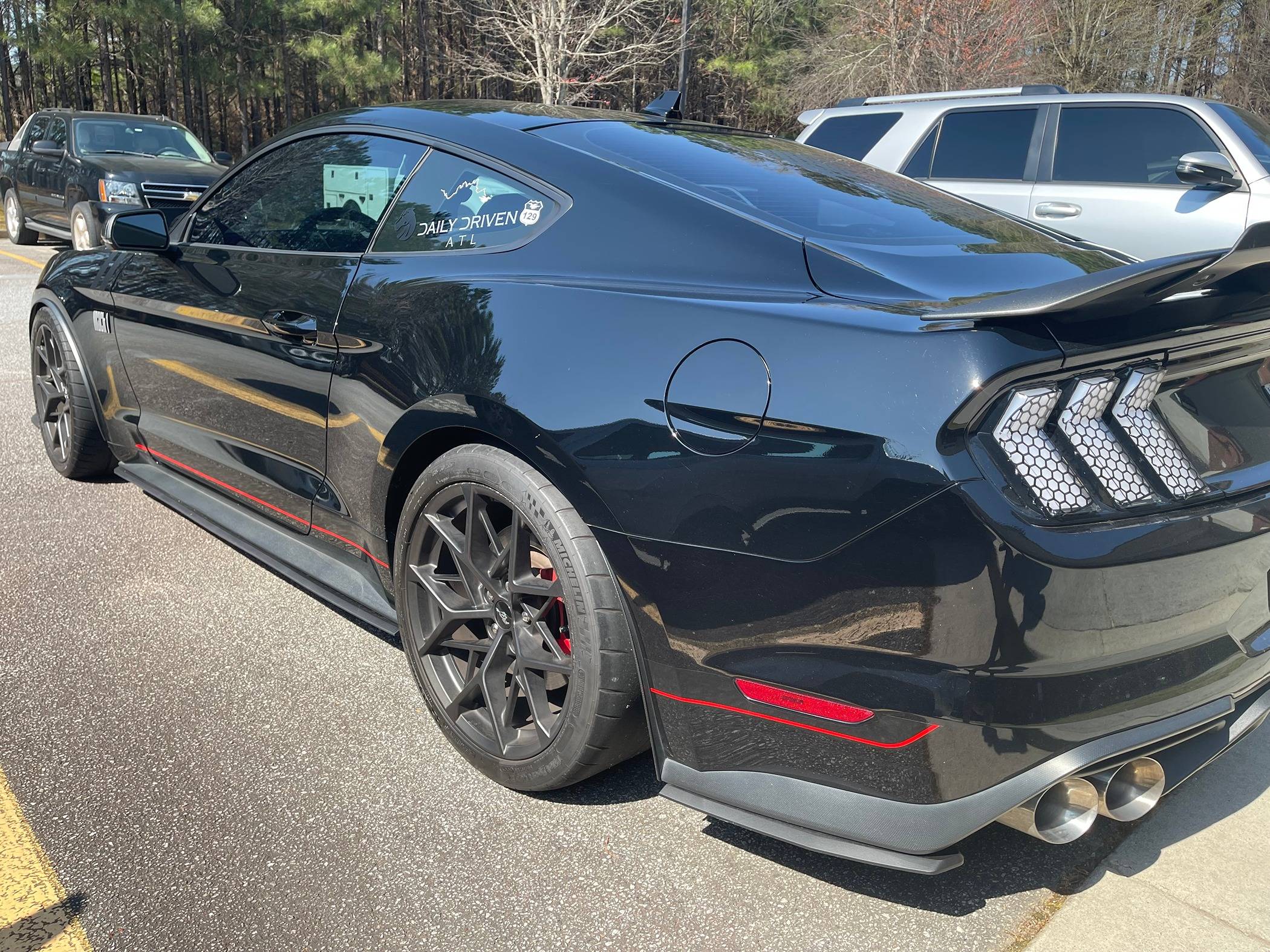 STANCE REAR.jpg