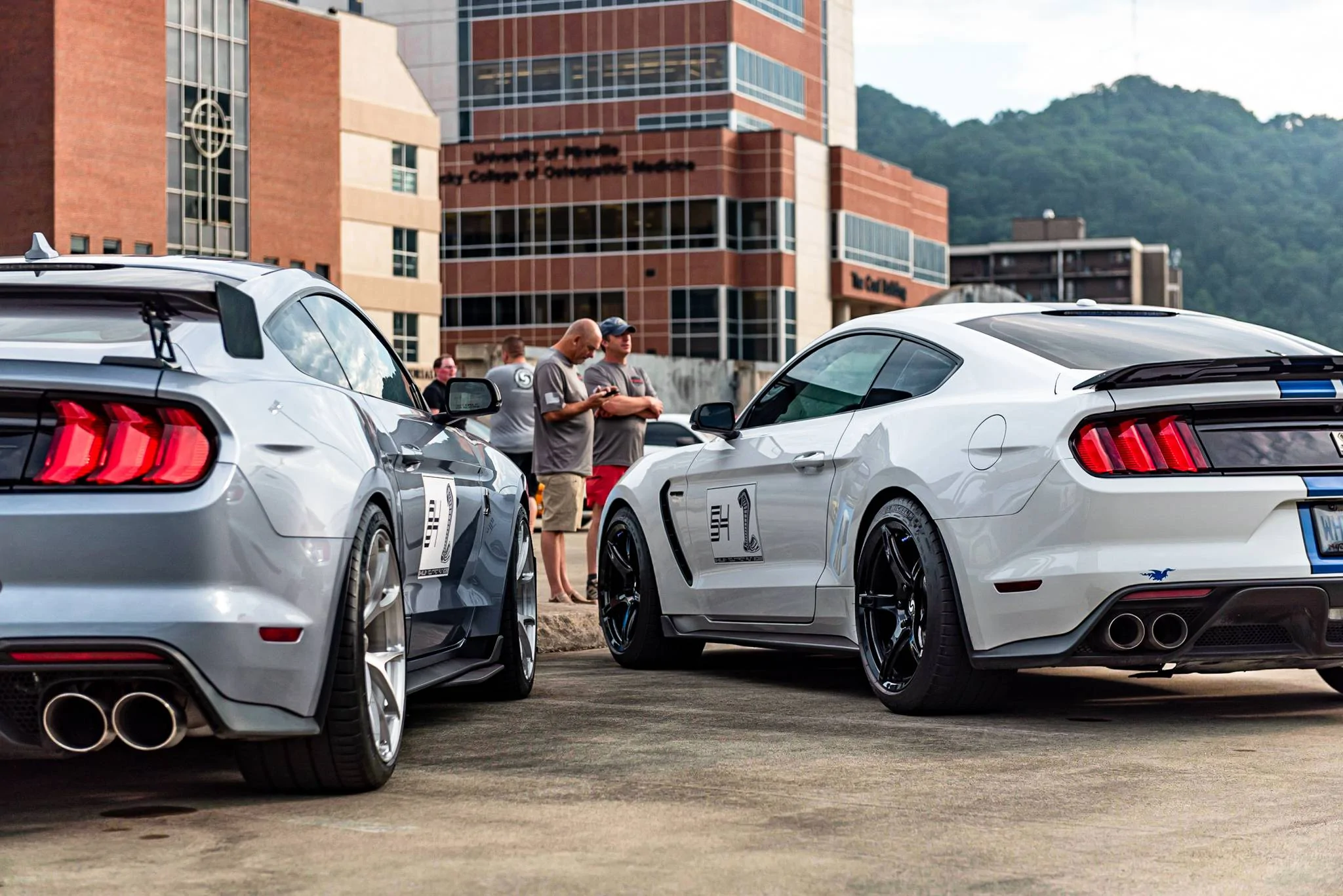 SV901 GT350 Gloss Black Mountain Run-2.webp