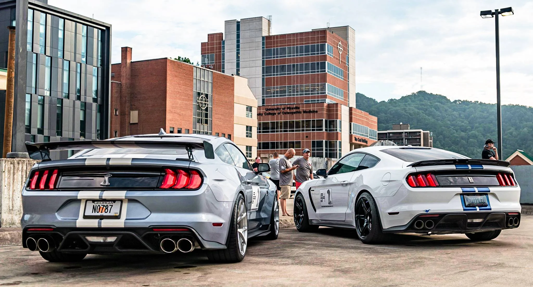 SV901 GT350 Gloss Black Mountain Run-3.webp