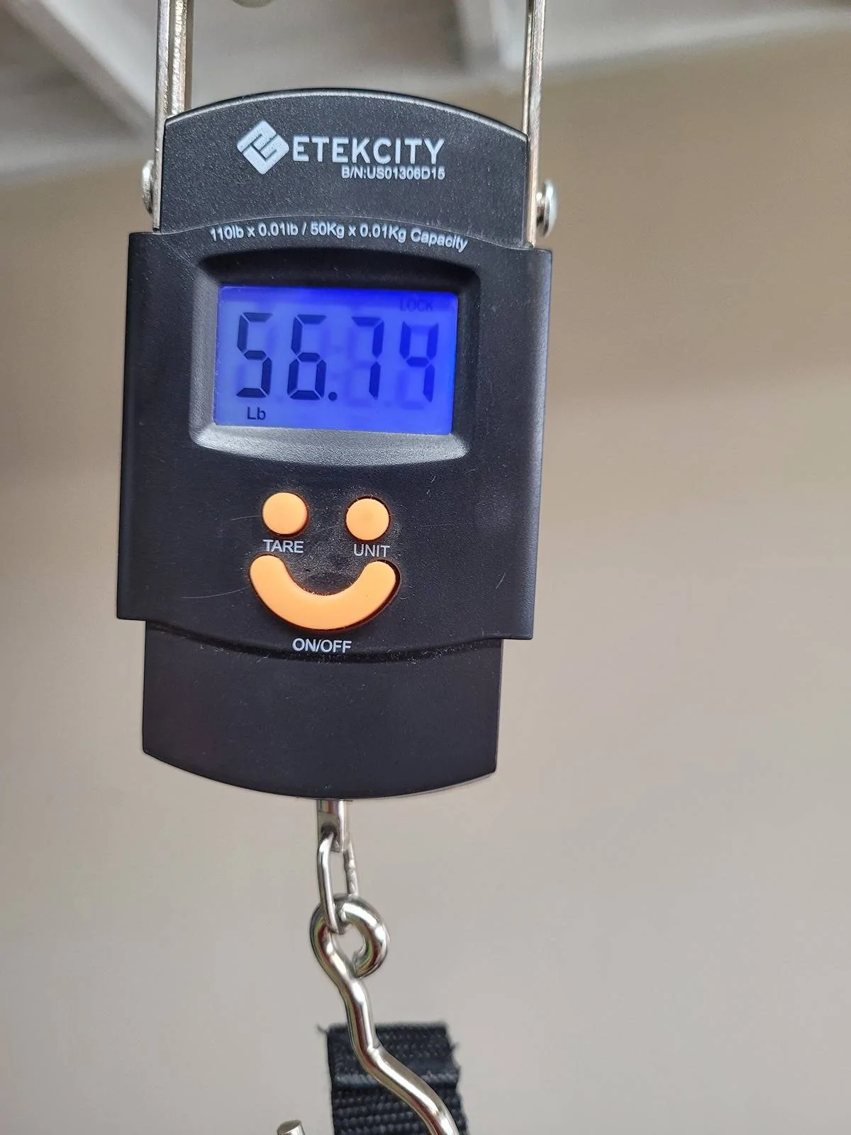 VL800様！メルカリ便！P.willinckii OMG spore 2406 VL800様！メルカリ便！P.willinckii OMG spore 2406