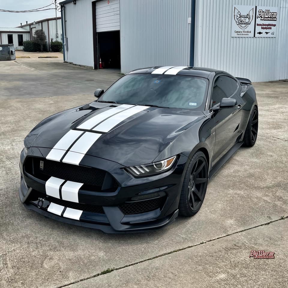 black-with-white-narrow-stripes-mustang-jpg.jpg