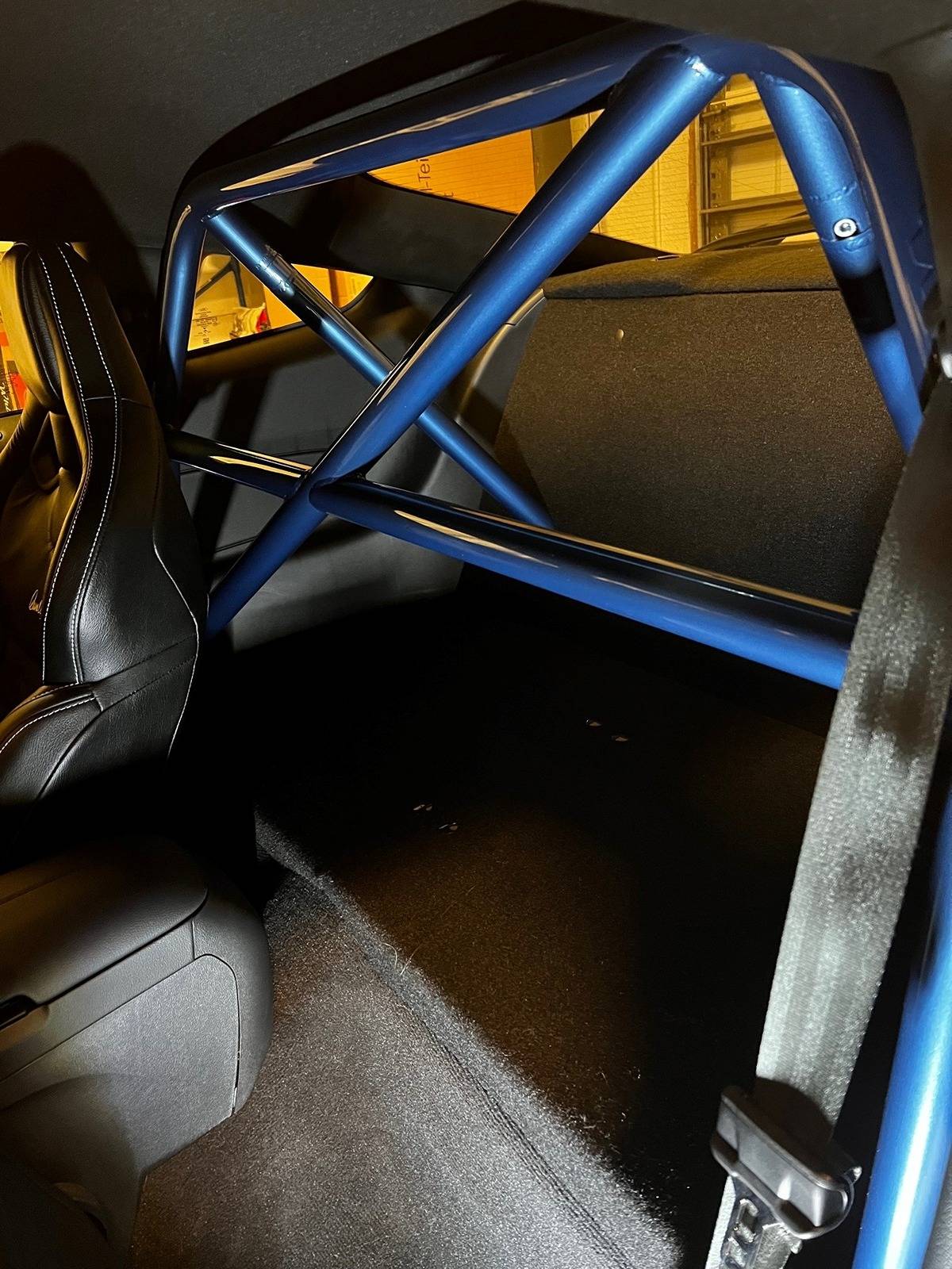 GT350 Roll bar.jpg