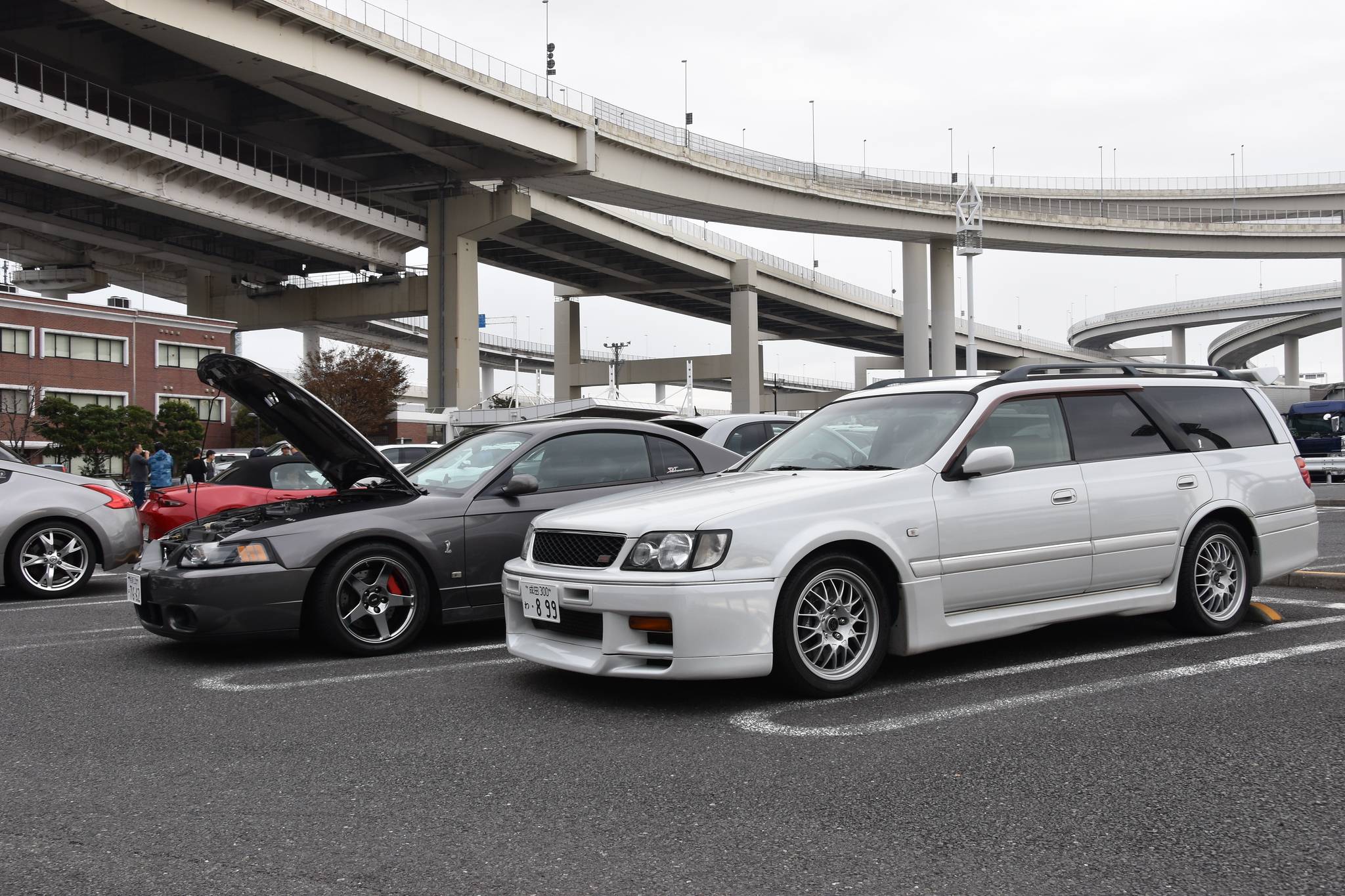 DSC_0322-X4.jpg