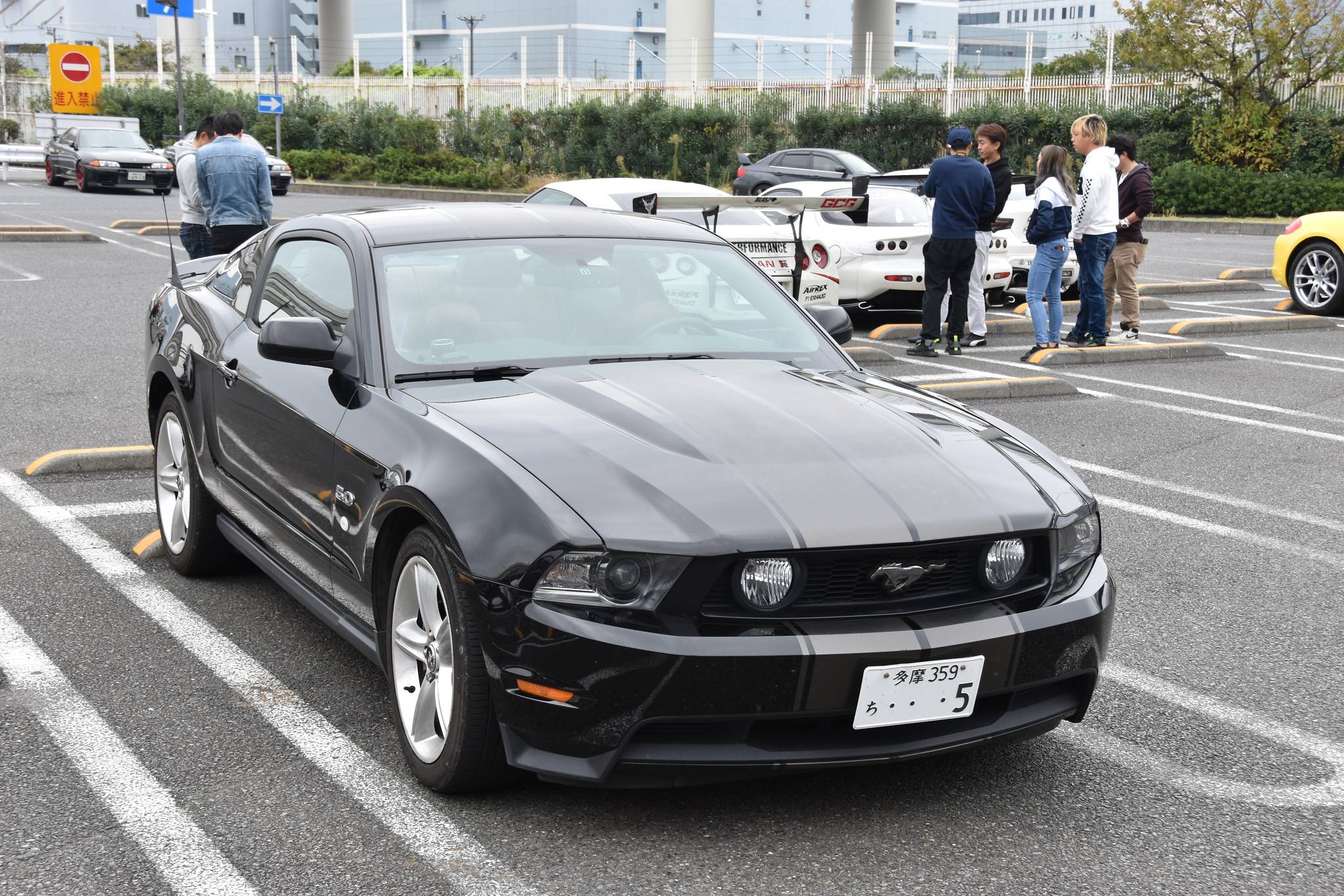 DSC_0486-X4.jpg