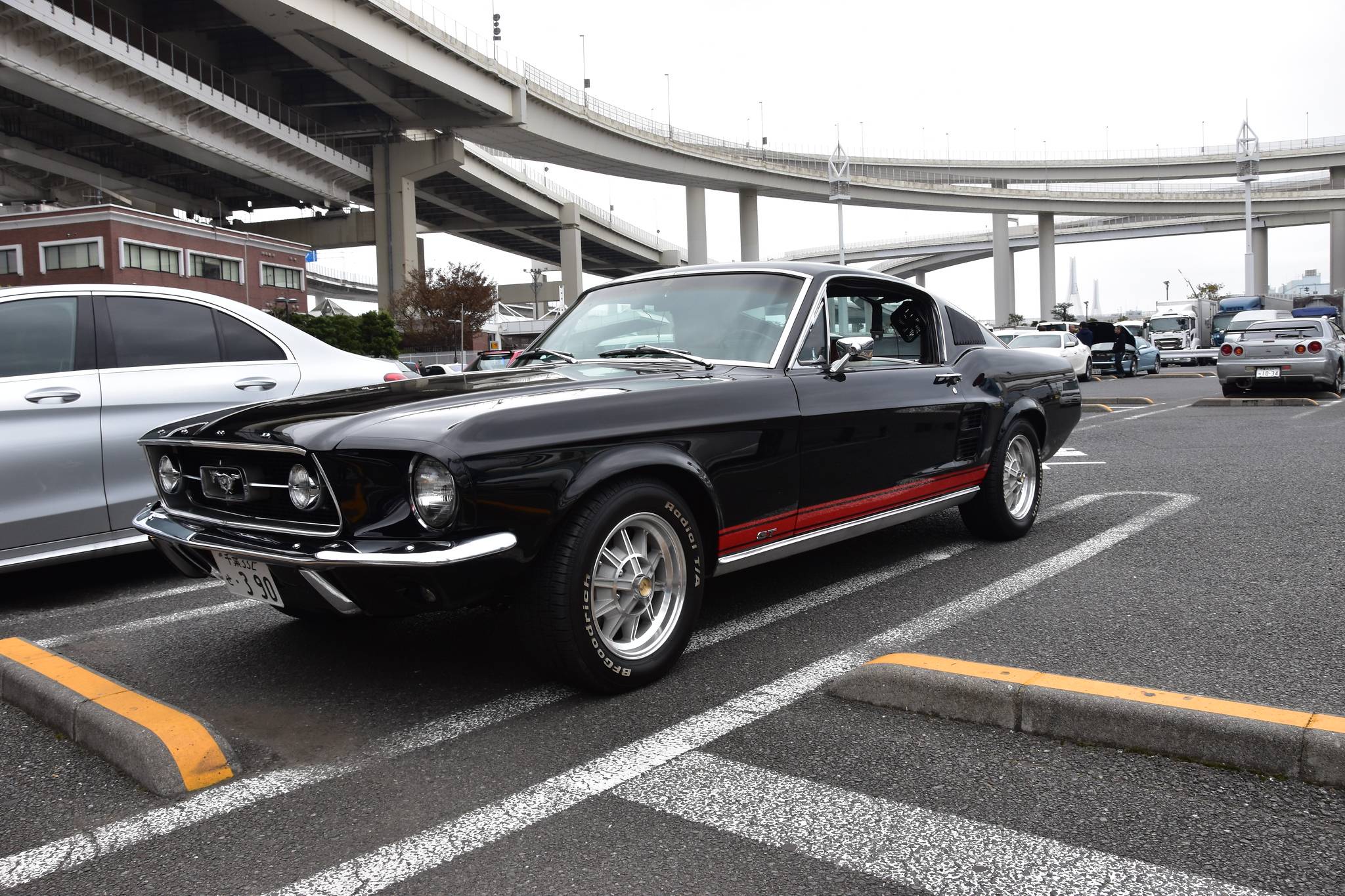 DSC_0474-X4.jpg