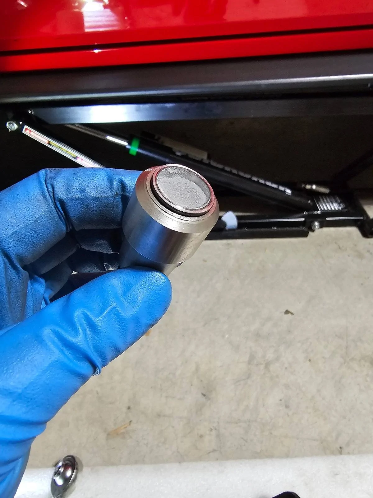 1000011455.webp