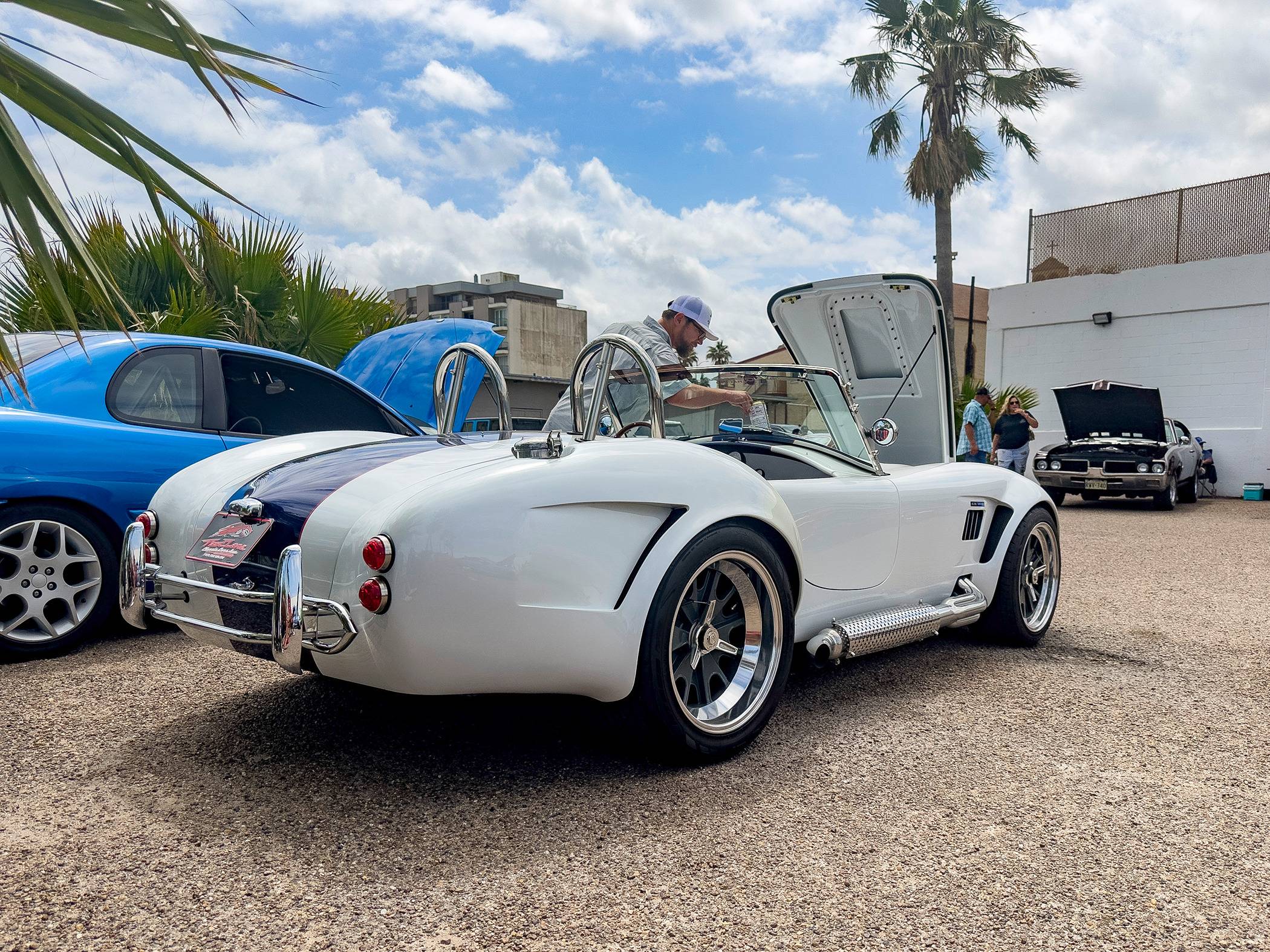coyote-cobra.jpg