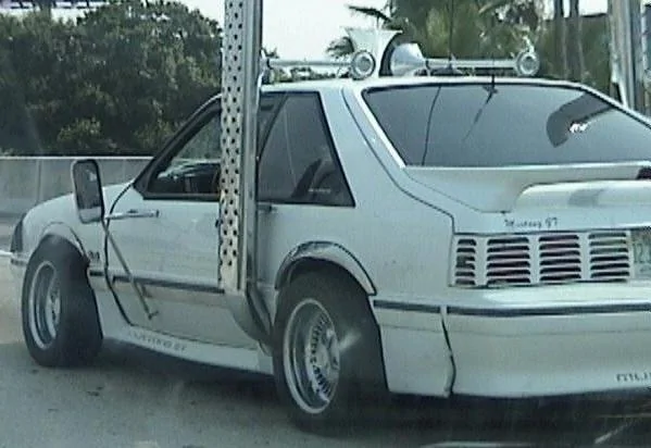 mustang2.webp