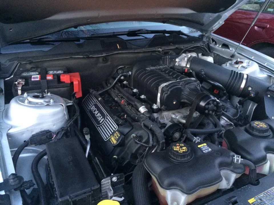 roushcoilcovers.webp