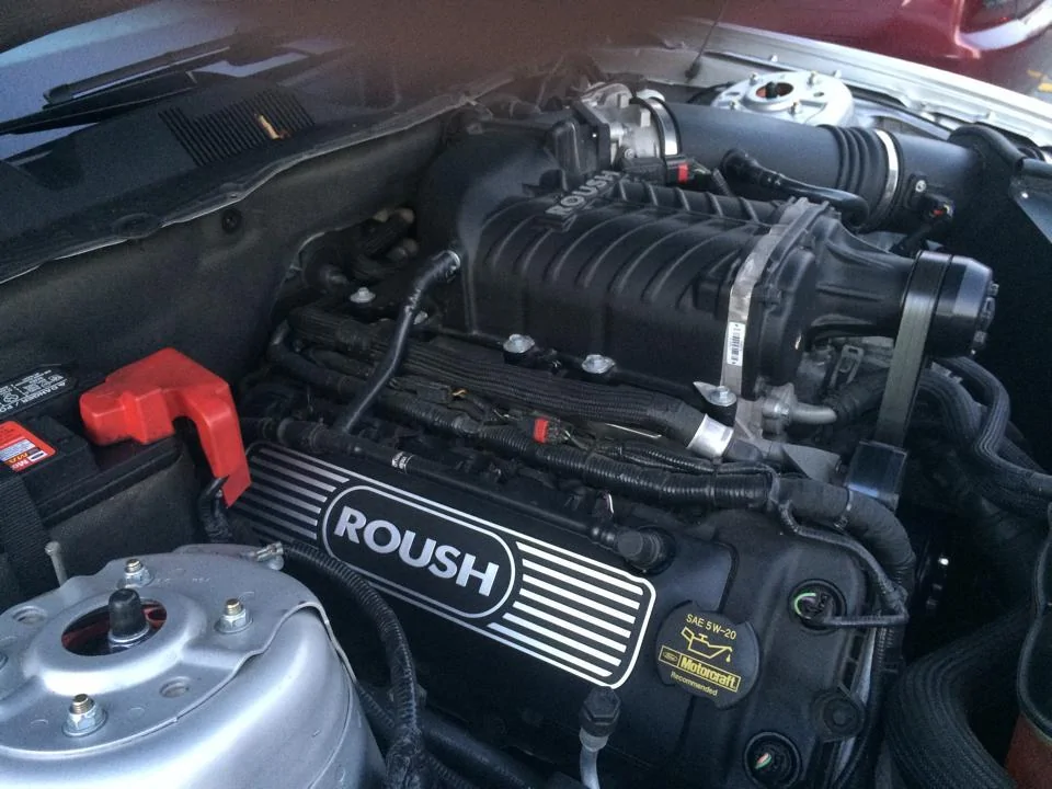 roushcoilcovers2.webp
