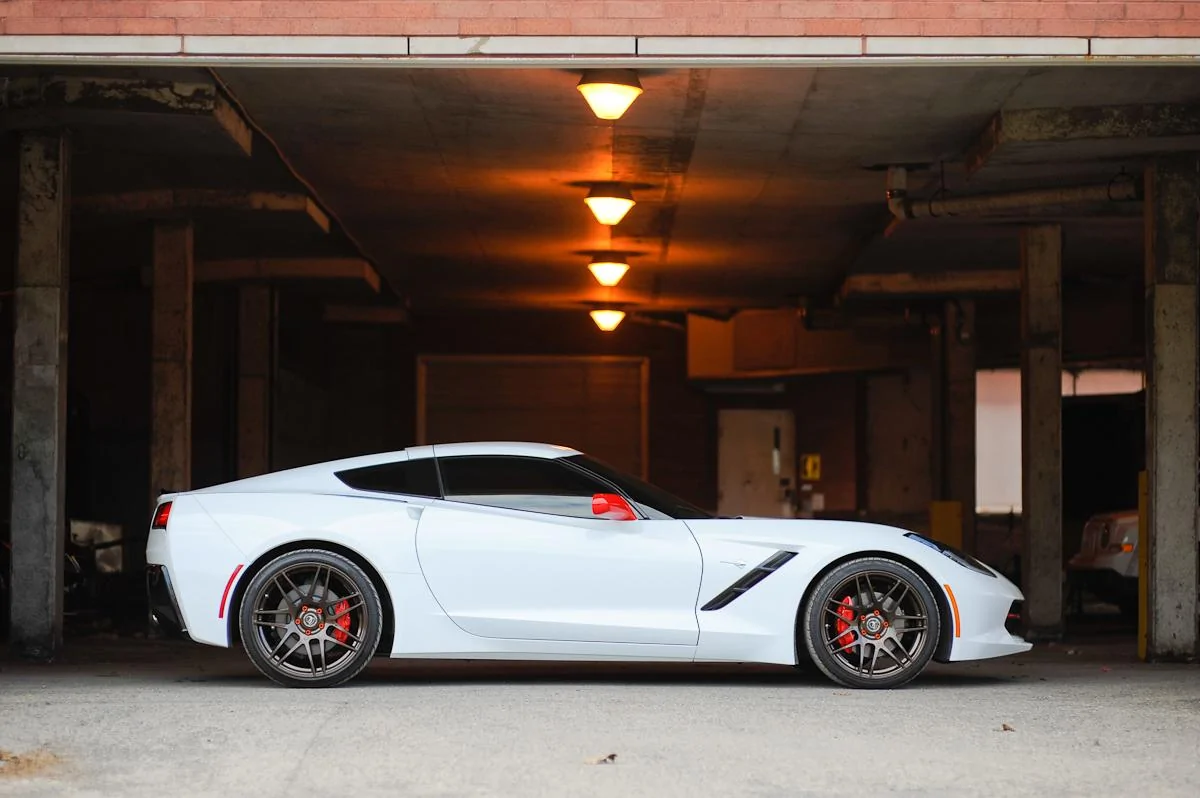 Stingray-24.webp