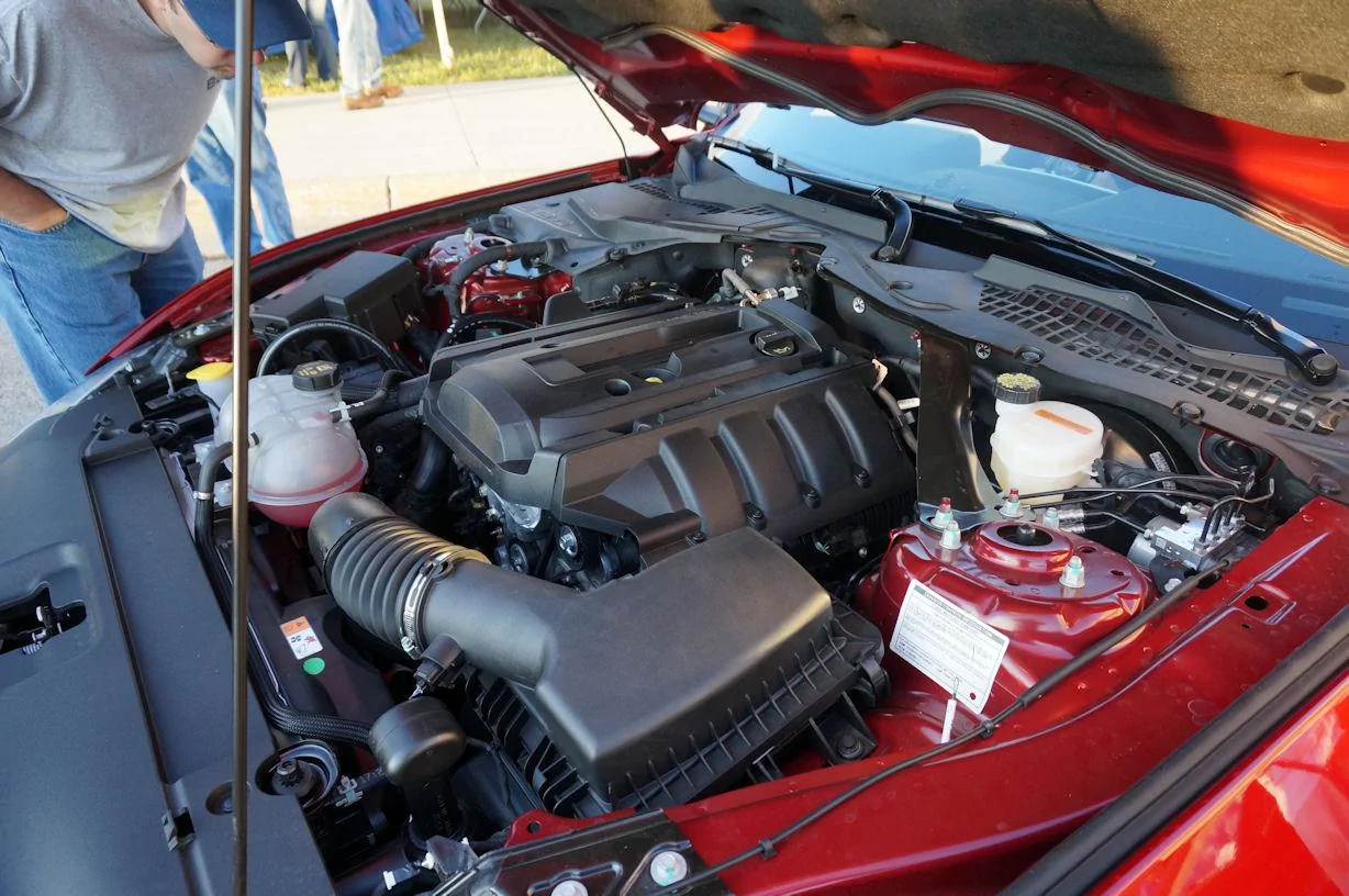 DSC00773_resize25.webp