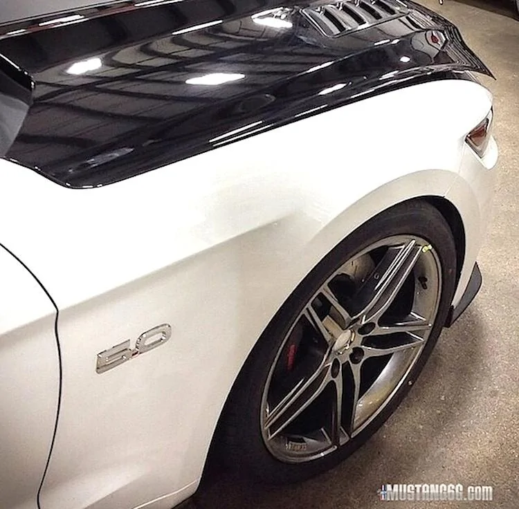 ROUSH S550 Mustang.webp