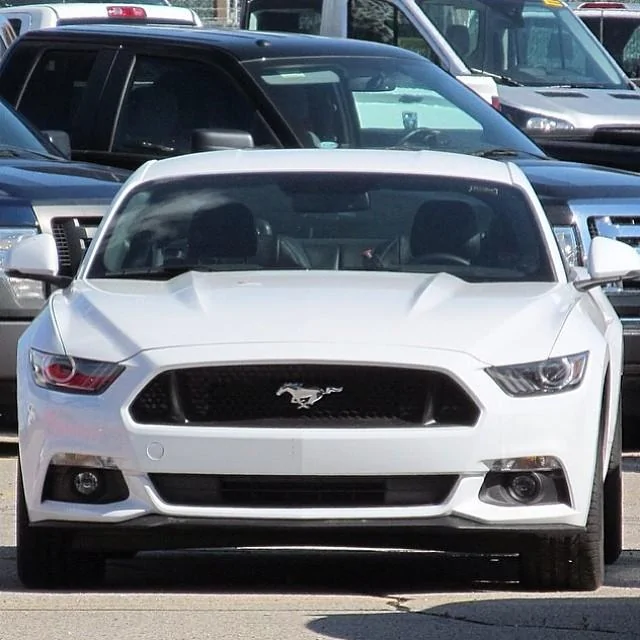 Perf White.webp