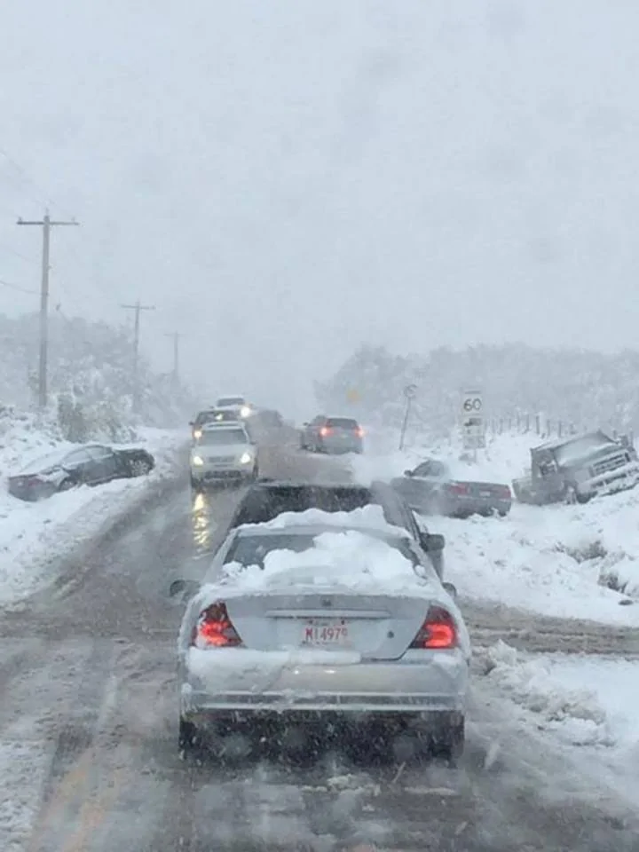 calgary-now.webp