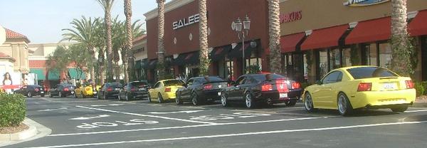 bumblebee.jpg