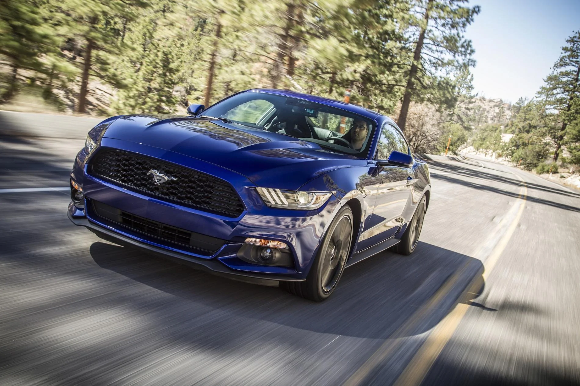 2015Mustang_t5e1756.webp