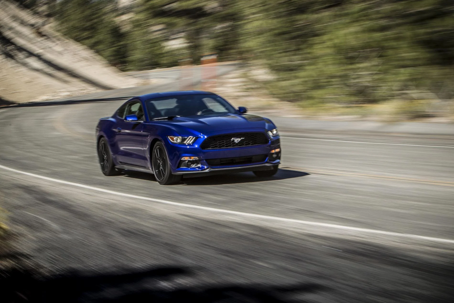 2015Mustang_t5e2334.webp
