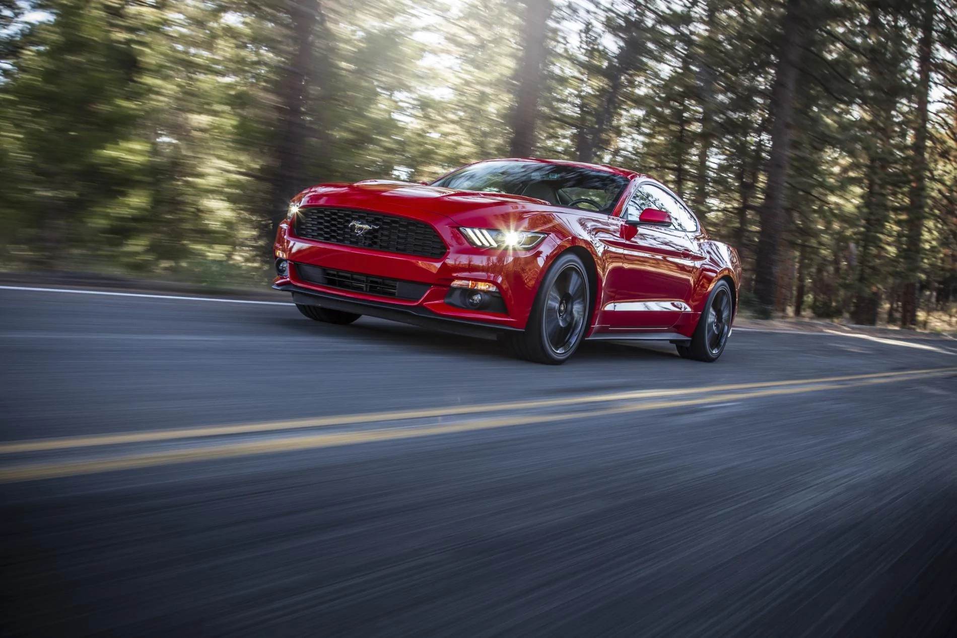 2015Mustang_t5e8621.webp