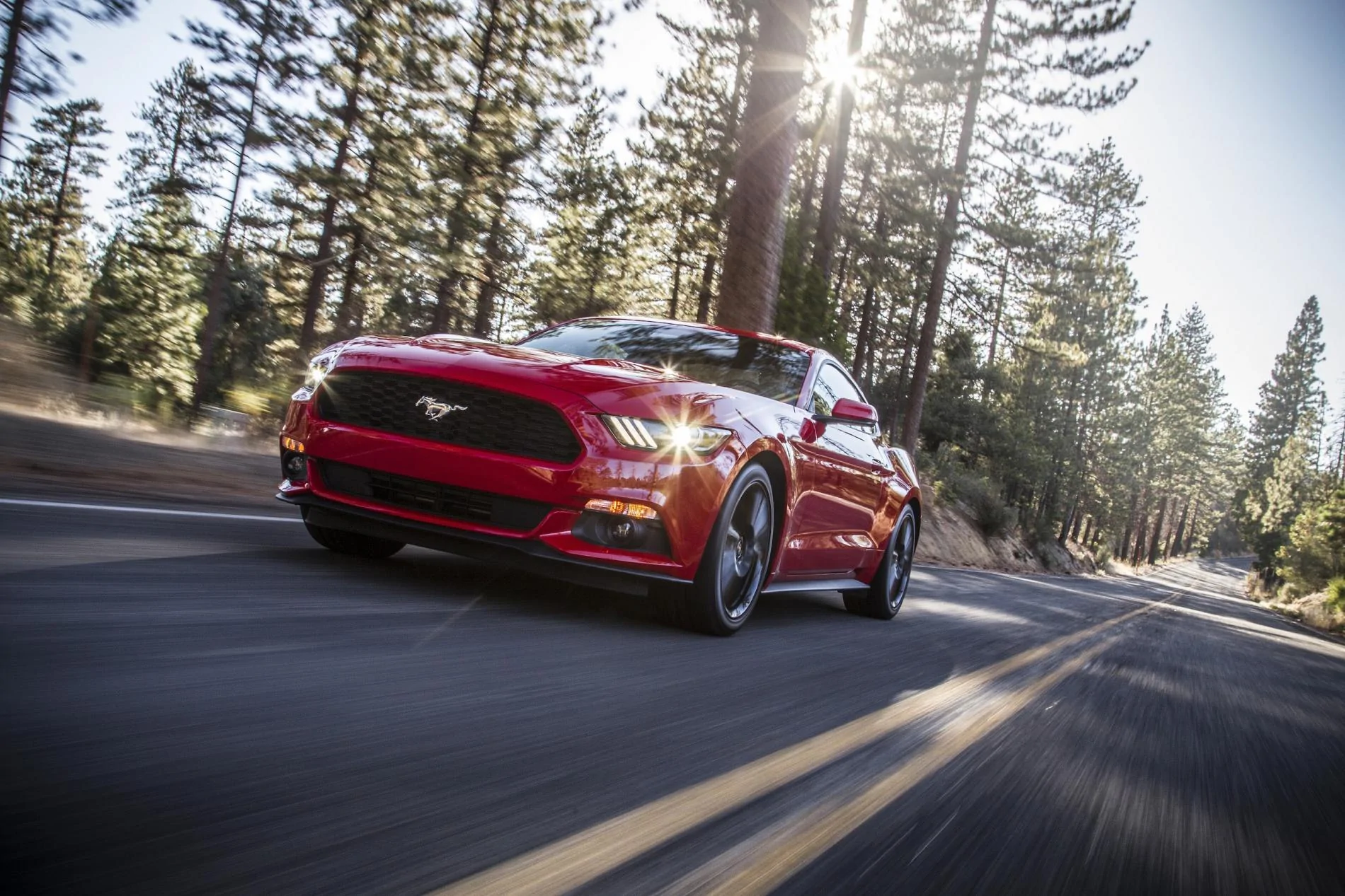 2015Mustang_t5e8790.webp