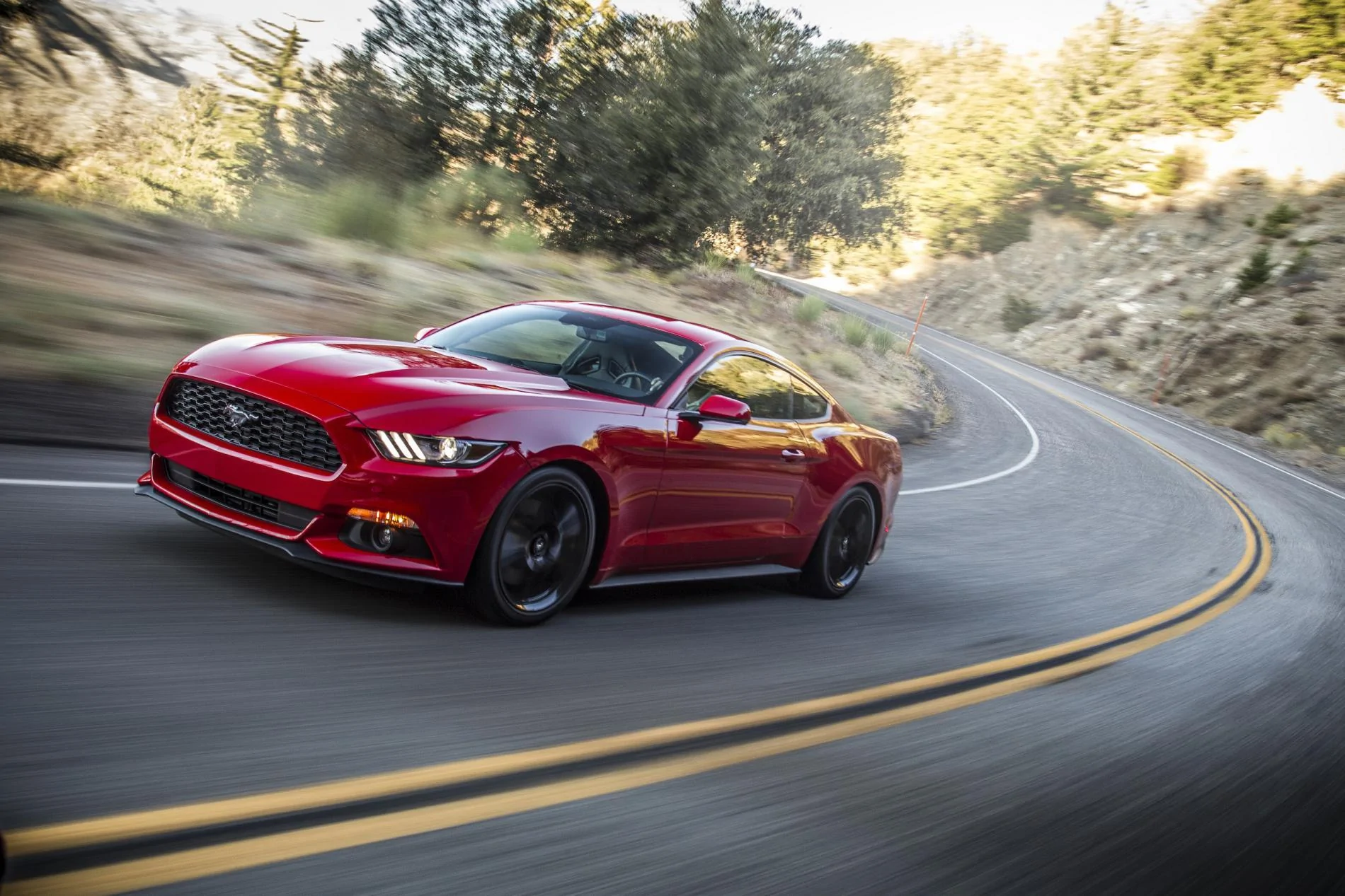 2015Mustang_t5e9756.webp