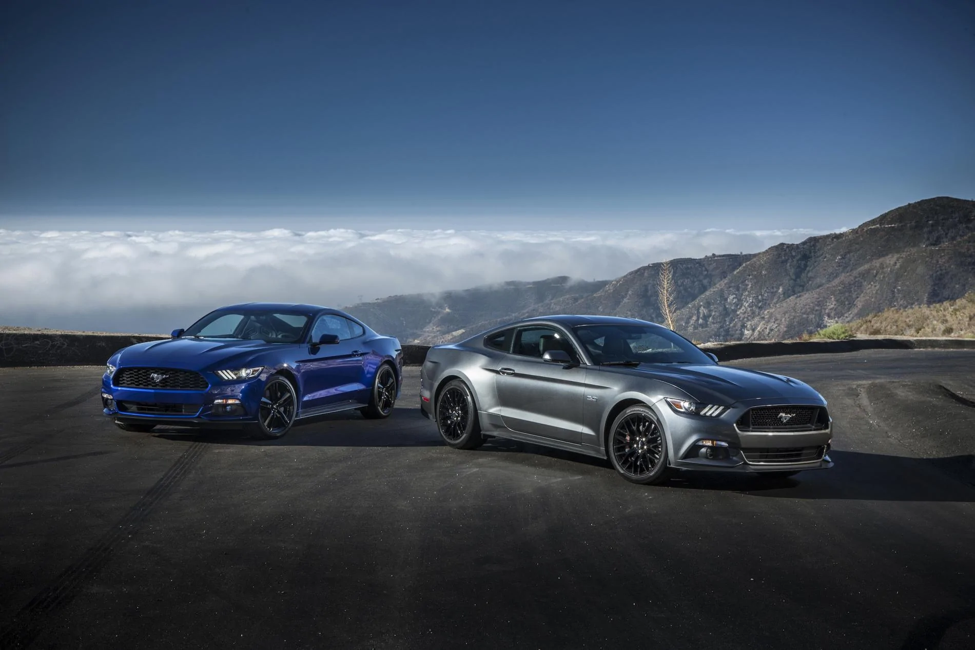 2015Mustang_t6r8428.webp