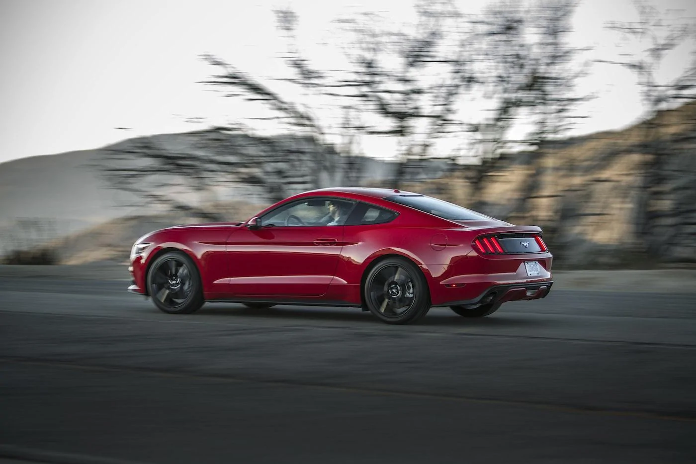 2015Mustang_t5e0311.webp