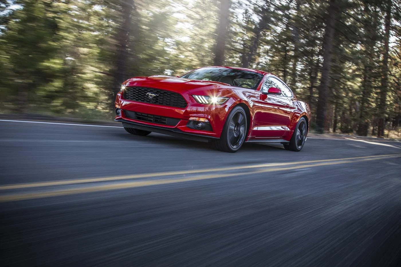 2015Mustang_t5e8621.webp
