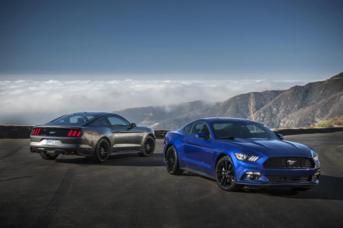 2015Mustang_t6r8440.webp