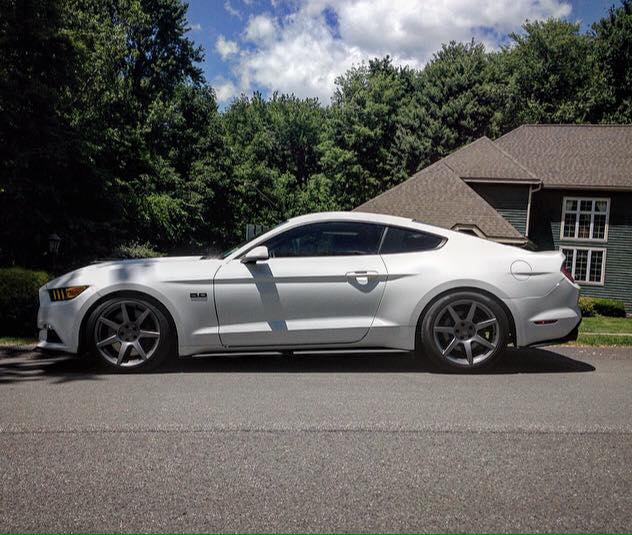 Mustang_5.jpg