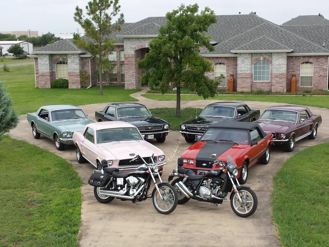 all6.jpg