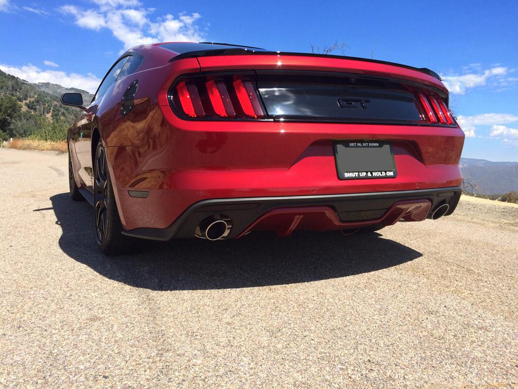 rear_tints_1024_768.jpg