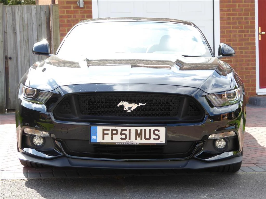 2016-05-26 Mustang on Drive (Fwd) P1010763 (Medium).webp